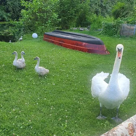 Alt-berliner Schwanenhof - * 뤼헨