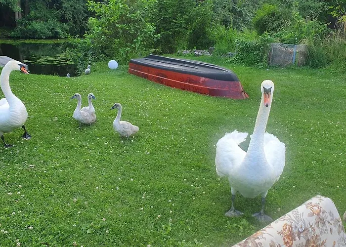 Alt-berliner Schwanenhof - * リヘン